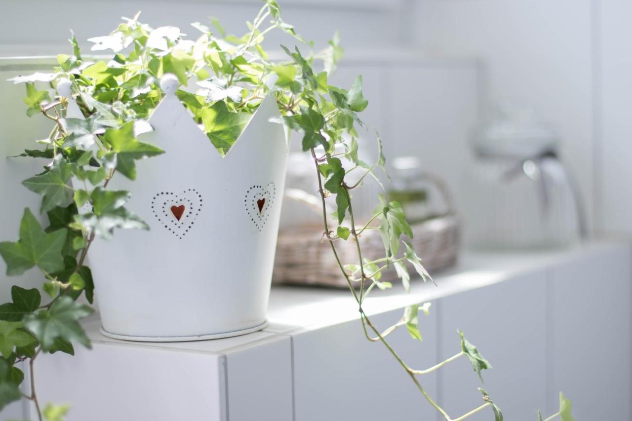 Nordic Im Deichhaus Apartment Husum  Luaran gambar